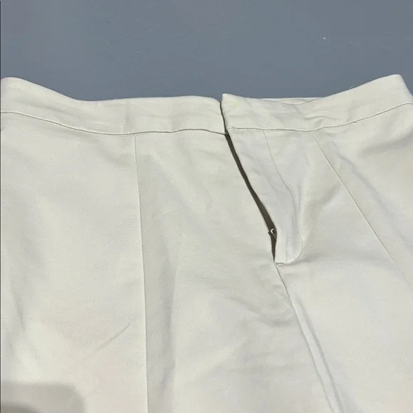 Crosby Light Taupe Dressy Pants (Women’s Size 10) - Picture 5 of 10